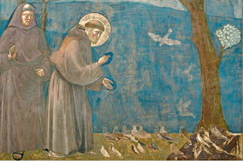 Saint Francis of Assisi preaching to the birds. Giotto. Painting by Giotto  di Bondone -1266-1337-